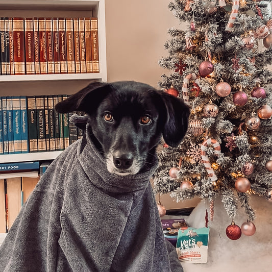 Christmas Gift Guide: Pet Gifts